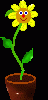 13272_dance.gif