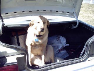 13294_abby_in_trunk_04_2006.jpg