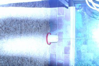 13303_conway_chicken_coop_032.jpg