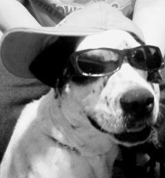 13309_joecool_b_w.jpg