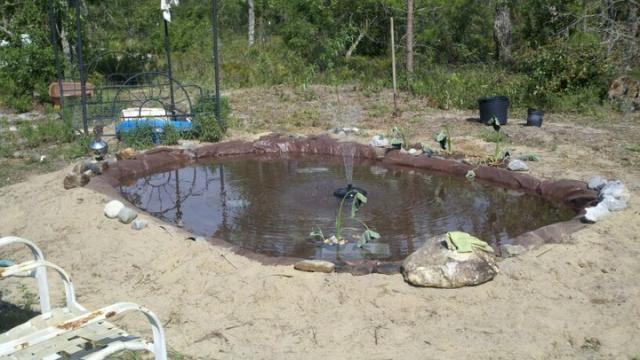 13323_duckpond.jpg