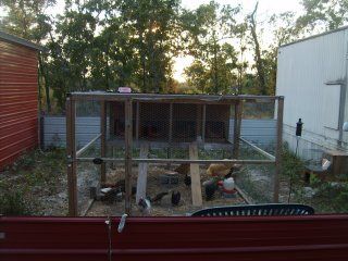 13328_chicken_coop.jpg