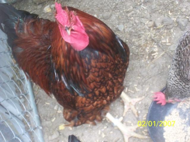 13335_100_5964.jpg