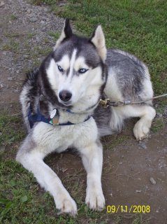 13335_2008_0911image0058.jpg