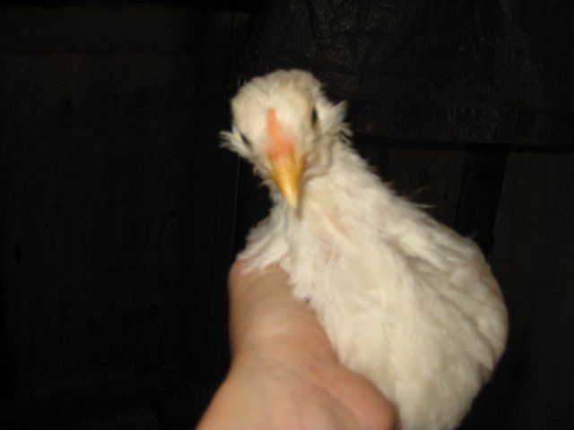 13464_img_0673.jpg