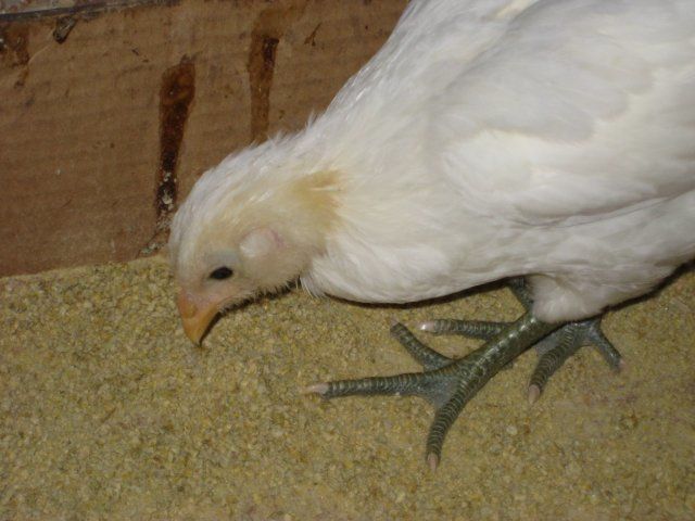 13464_img_0679.jpg