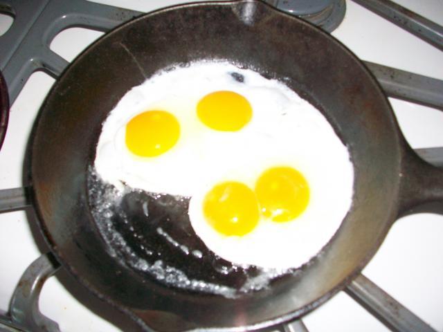 13479_first_eggs_004.jpg
