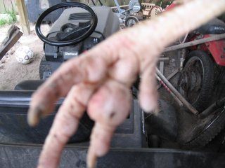 13493_img_5725.jpg