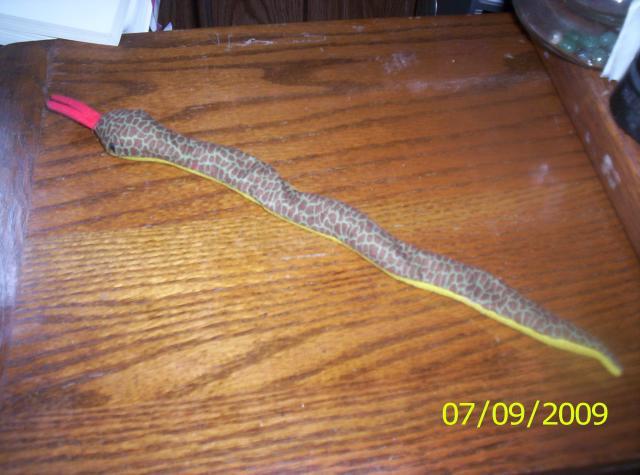 13604_snake_7-09-2009_004.jpg