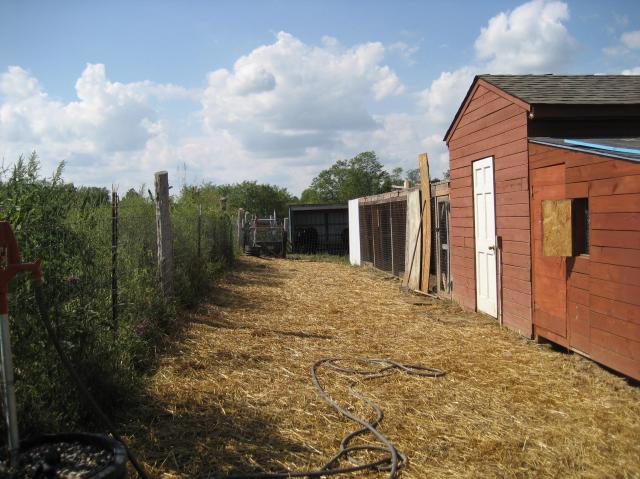 13683_img_3832.jpg