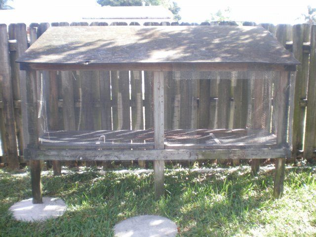 13775_coop2.jpg