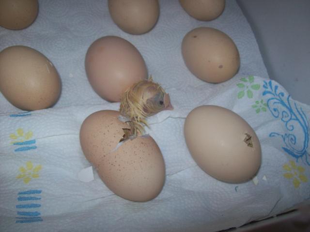 13789_181011.jpg