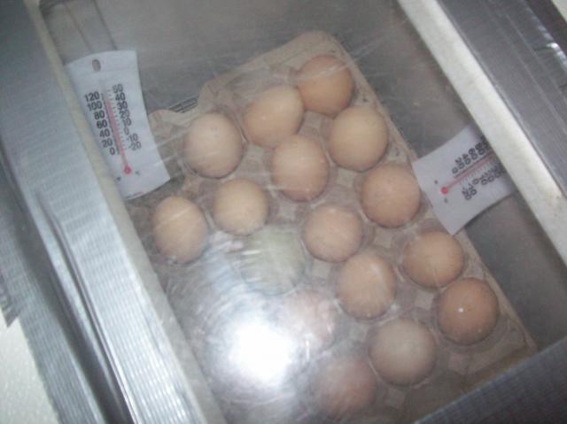 13789_1set072111.jpg