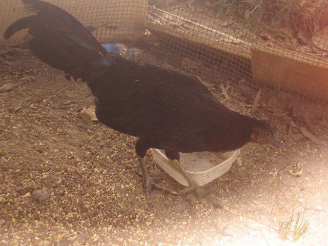 13796_picture_144.jpg
