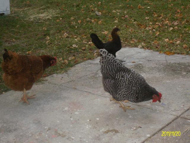 13798_008.jpg