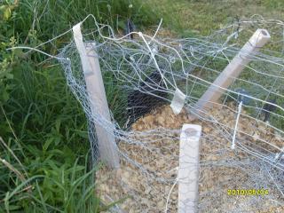 13823_picture_124.jpg