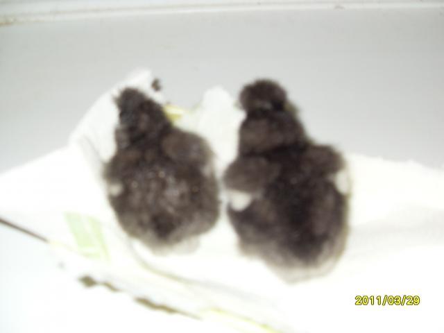 13823_picture_4570.jpg