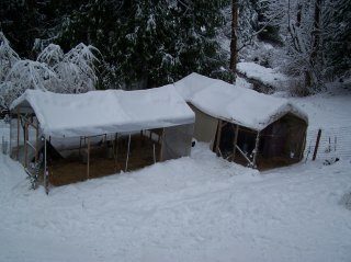 13827_100_4470.jpg