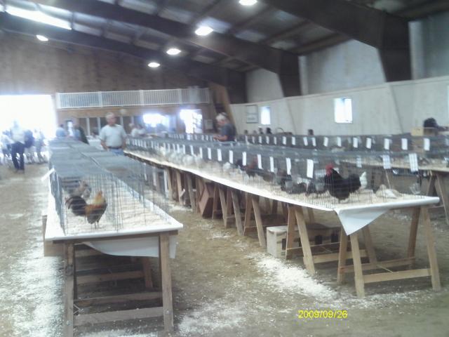 13887_boston_poultry_show_20104.jpg