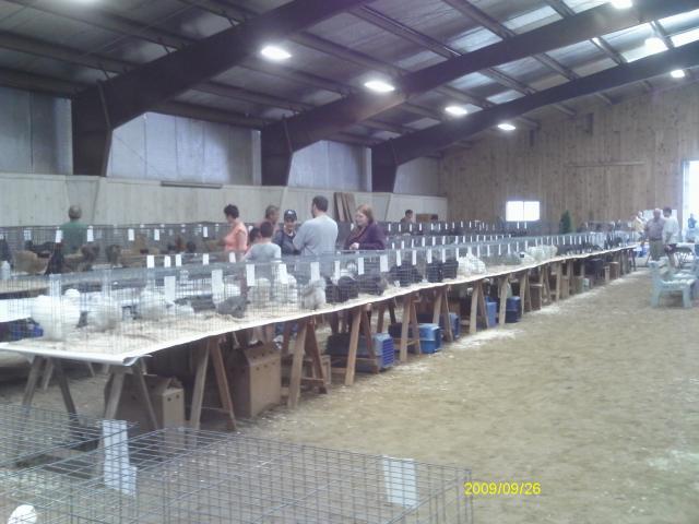 13887_boston_poultry_show_20105.jpg