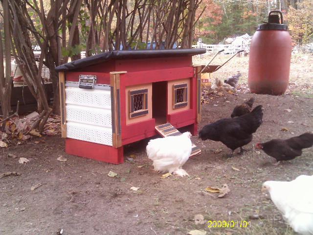 13887_coop1.jpg