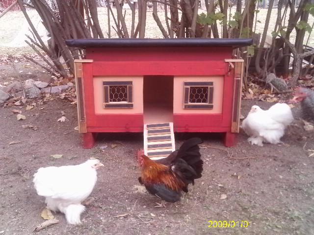 13887_coop9.jpg