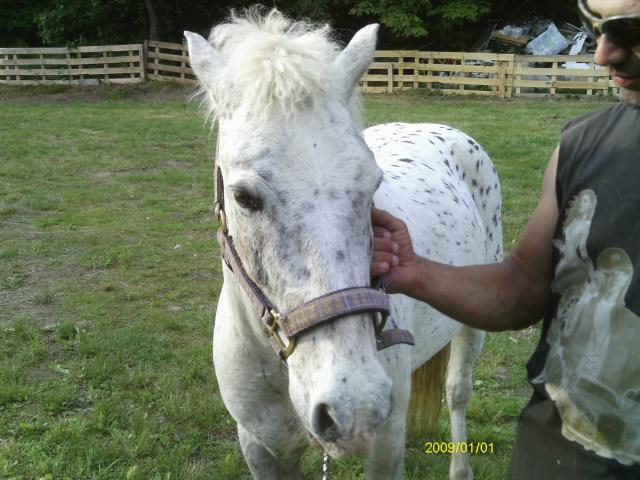 13887_copy2_of_imag0451.jpg