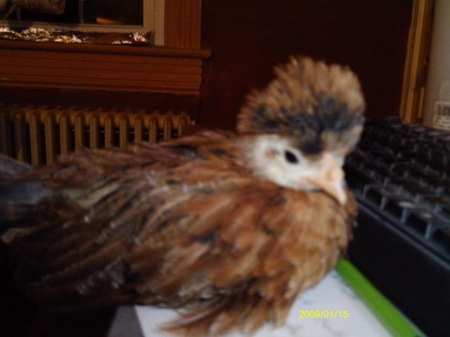 13887_imag0205.jpg