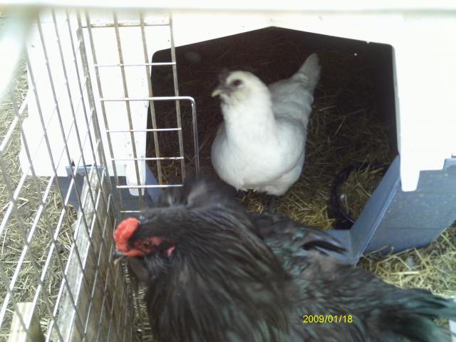 13887_imag0227.jpg