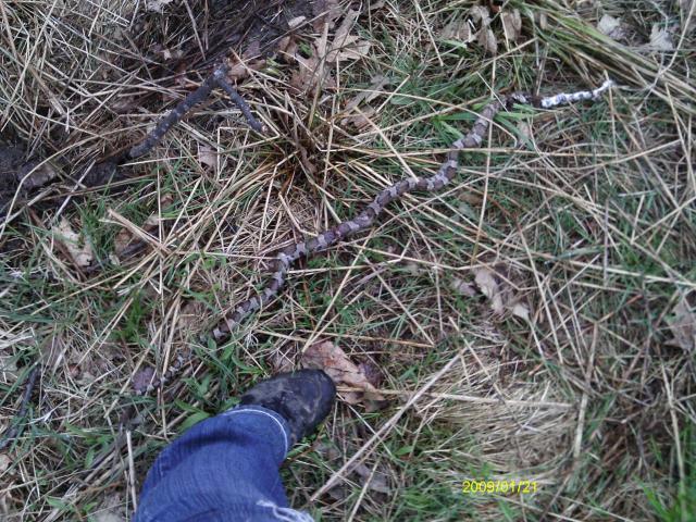 13887_imag0425.jpg