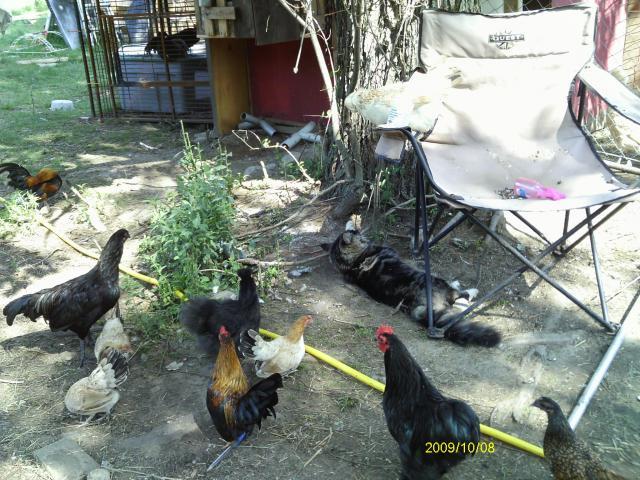 13887_imag0534.jpg