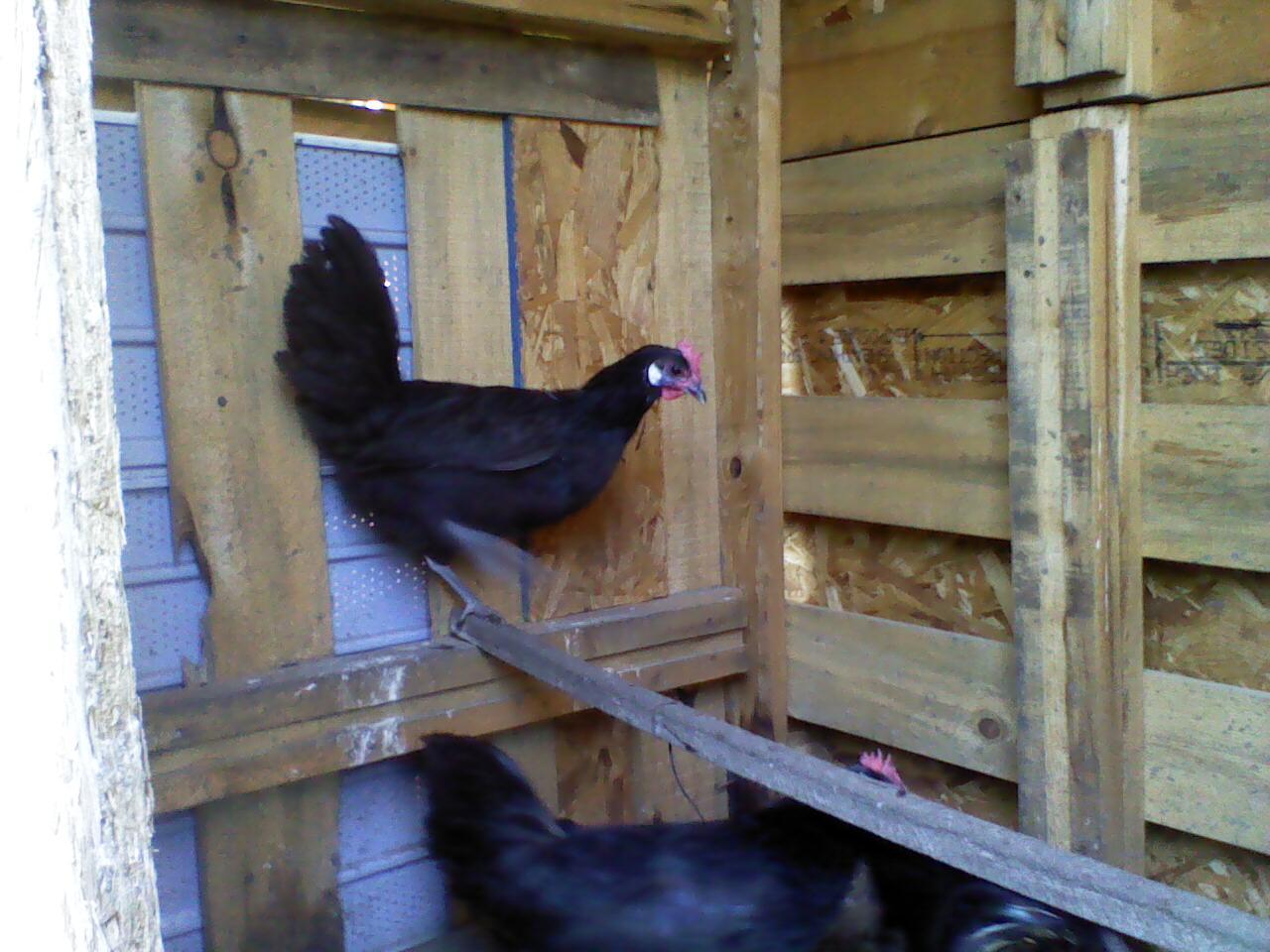 13887_picture_176.jpg