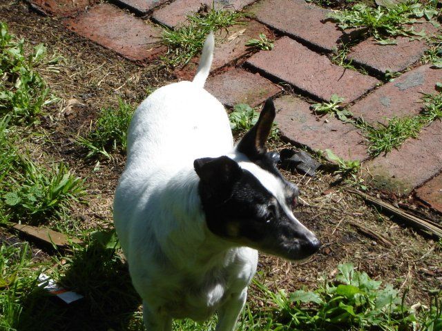 13904_dsc02608.jpg