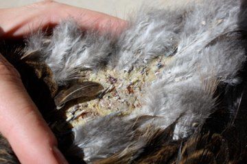 13941_img_1063.jpeg