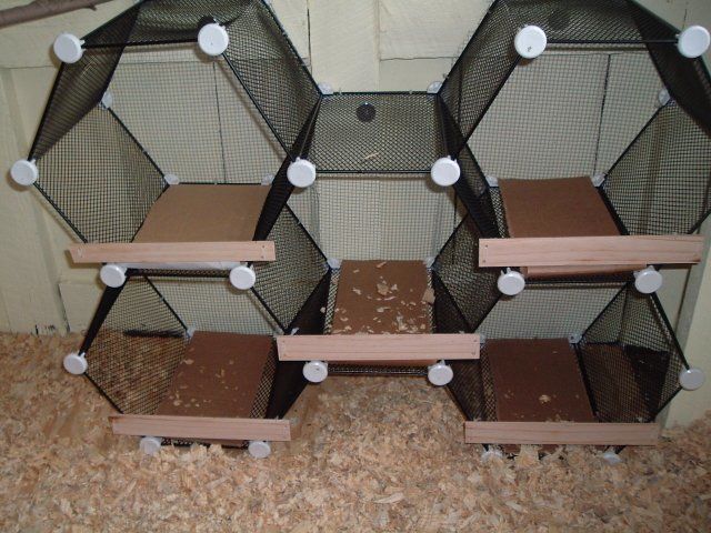 14013_chicken_coop_081.jpg