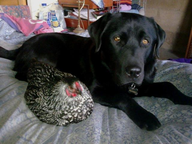 14038_image007.jpg