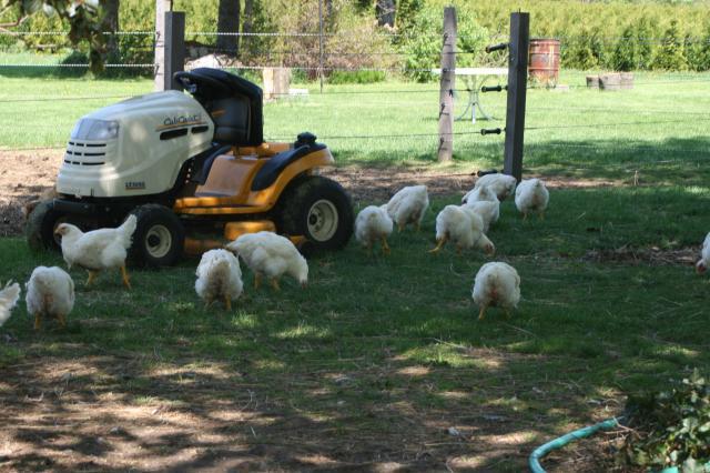 14054_farm2_005.jpg