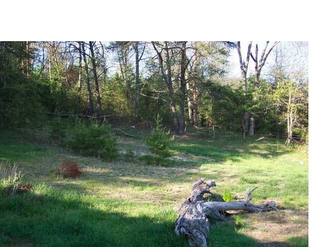 14070_chickens_side_yard_where_coop_is.jpg