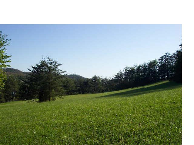 14070_field_next_to_house.jpg