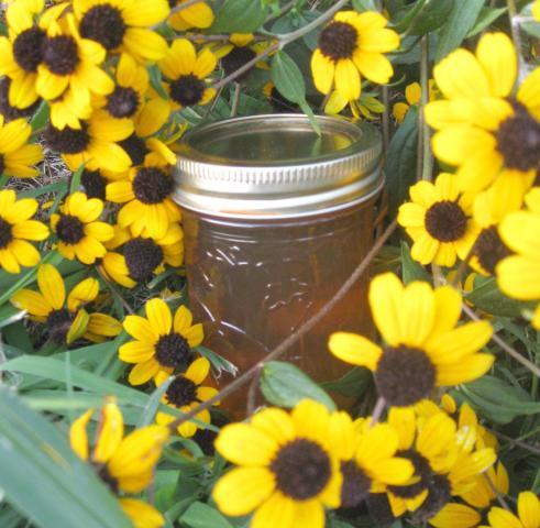 14084_grape_jelly.jpg