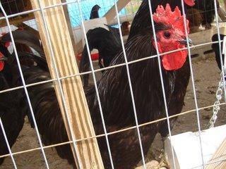 14104_040.jpg