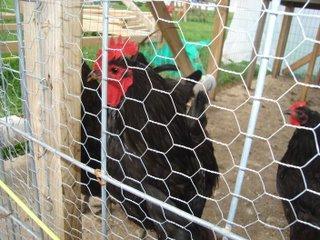 14104_041.jpg