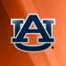 14123_2t-3da-logospin_auburn.gif