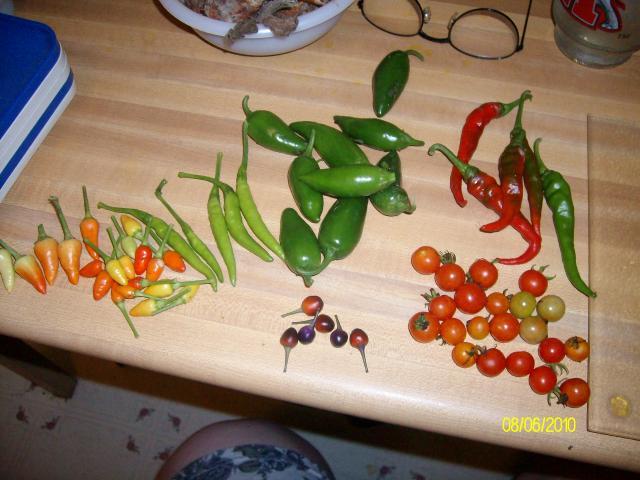 14123_garden_8-6-10_005.jpg