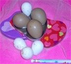14123_quail_pheasant_eggs.jpg