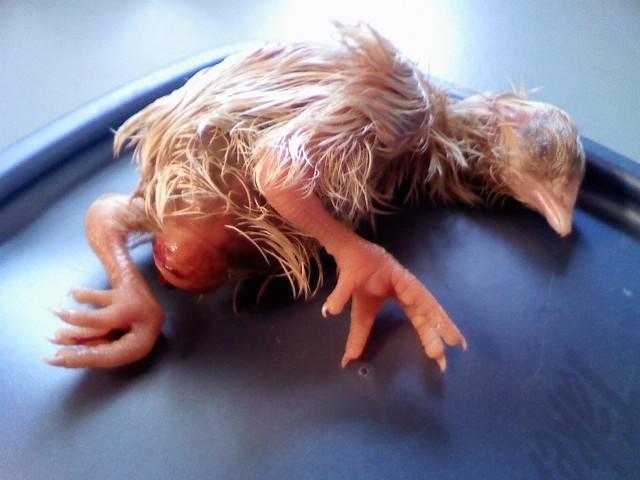 14203_1218091528.jpg