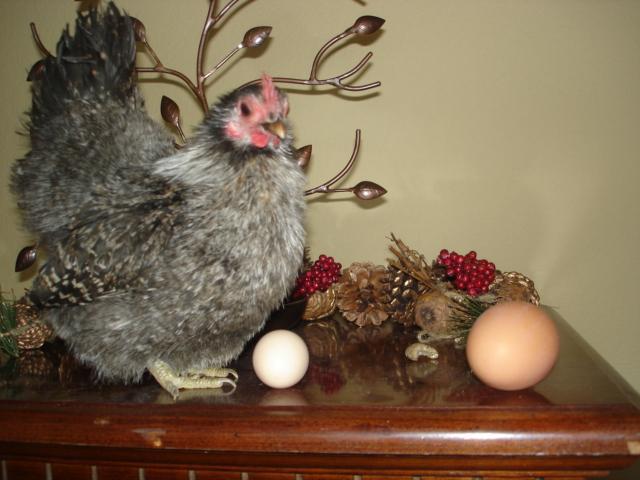 14259_itty_bits_1st_egg_xmas_023.jpg