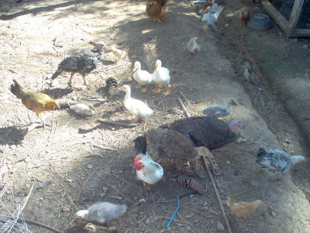 14308_im000208.jpg