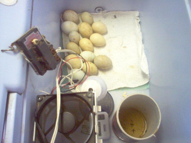 14308_im000213.jpg