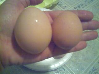 14377_big_egg.jpg